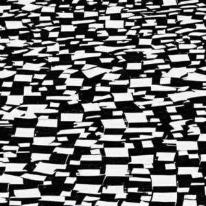 Artistic representation for Why inequality is no longer a simple black and white issue.